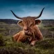 Aktivitäten in Schottland im Oktober