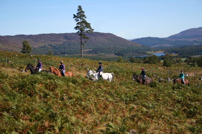 Dalraddy Estate Cairngorms