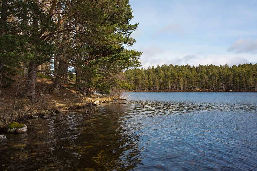 Hiking in the Cairngorms