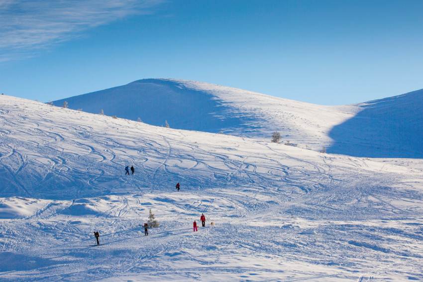 Cairngorm Mountain in de winter