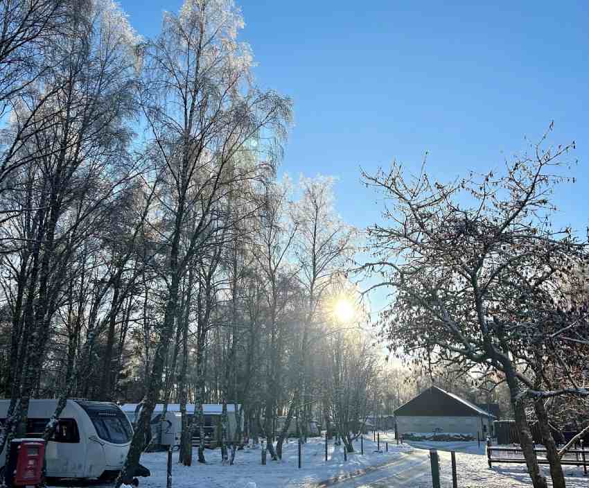 Dalraddy Tatil Parkı Aviemore Kamp Alanı tüm yıl boyunca açıktır