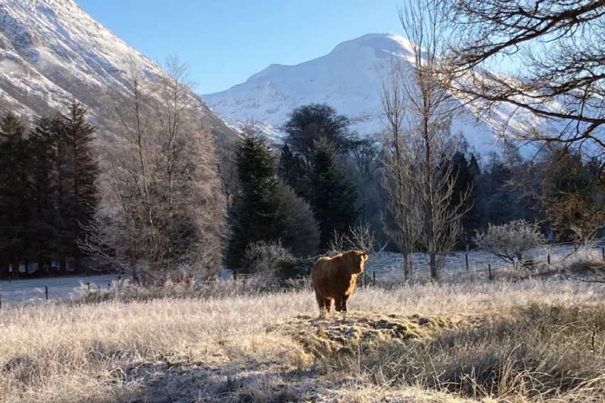 Camping Glen Nevis het hele jaar geopend Schotland